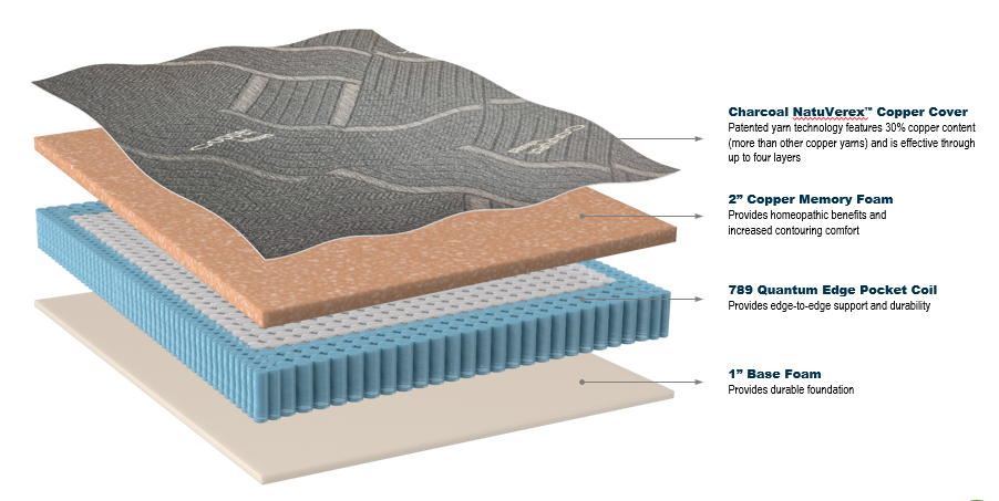 Immunity Collection Cinnamon Plush by Therapedic